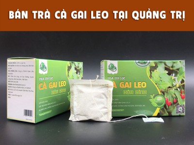 Trà cà gai leo Quảng Trị